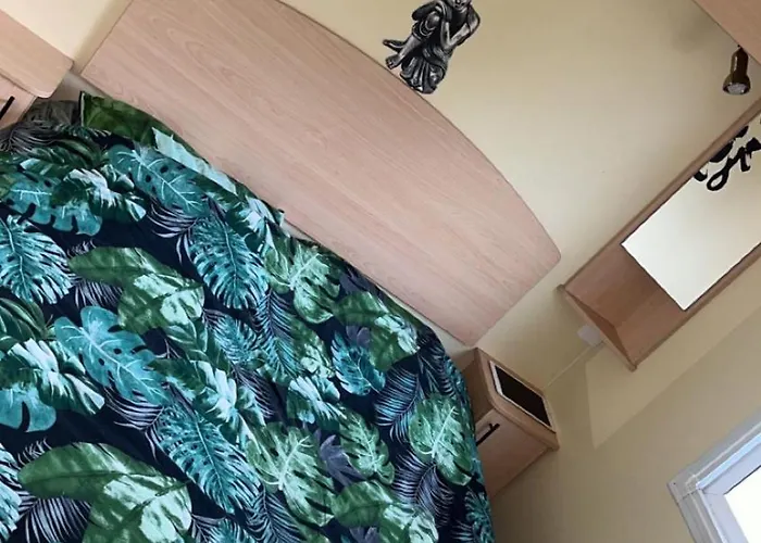 Mobilhome 6 Personnes Climatise *